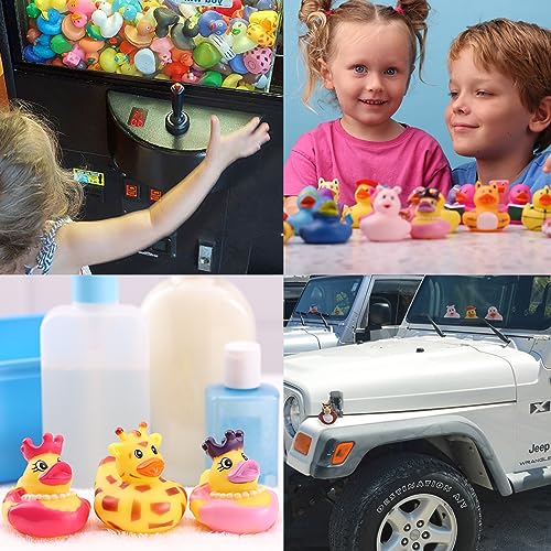 10-Pack Rubber Duck Assortment for Bath, Pool, Jeep Ducking, Party Favors, and Easter Gifts by Entervending