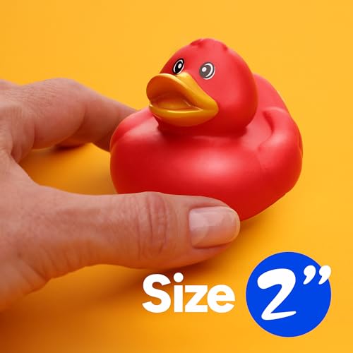 10-Pack Rubber Duck Assortment for Bath, Pool, Jeep Ducking, Party Favors, and Easter Gifts by Entervending