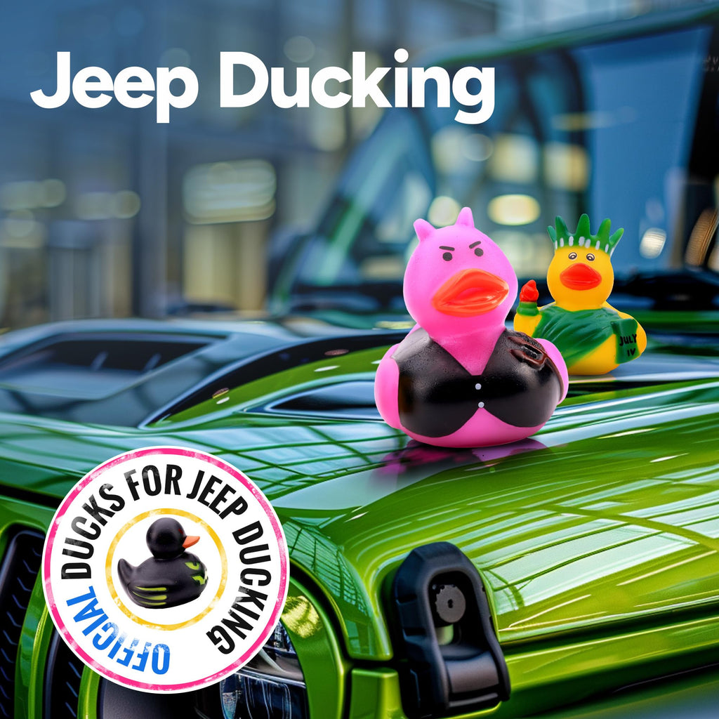 10-Pack Rubber Duck Assortment for Bath, Pool, Jeep Ducking, Party Favors, and Easter Gifts by Entervending