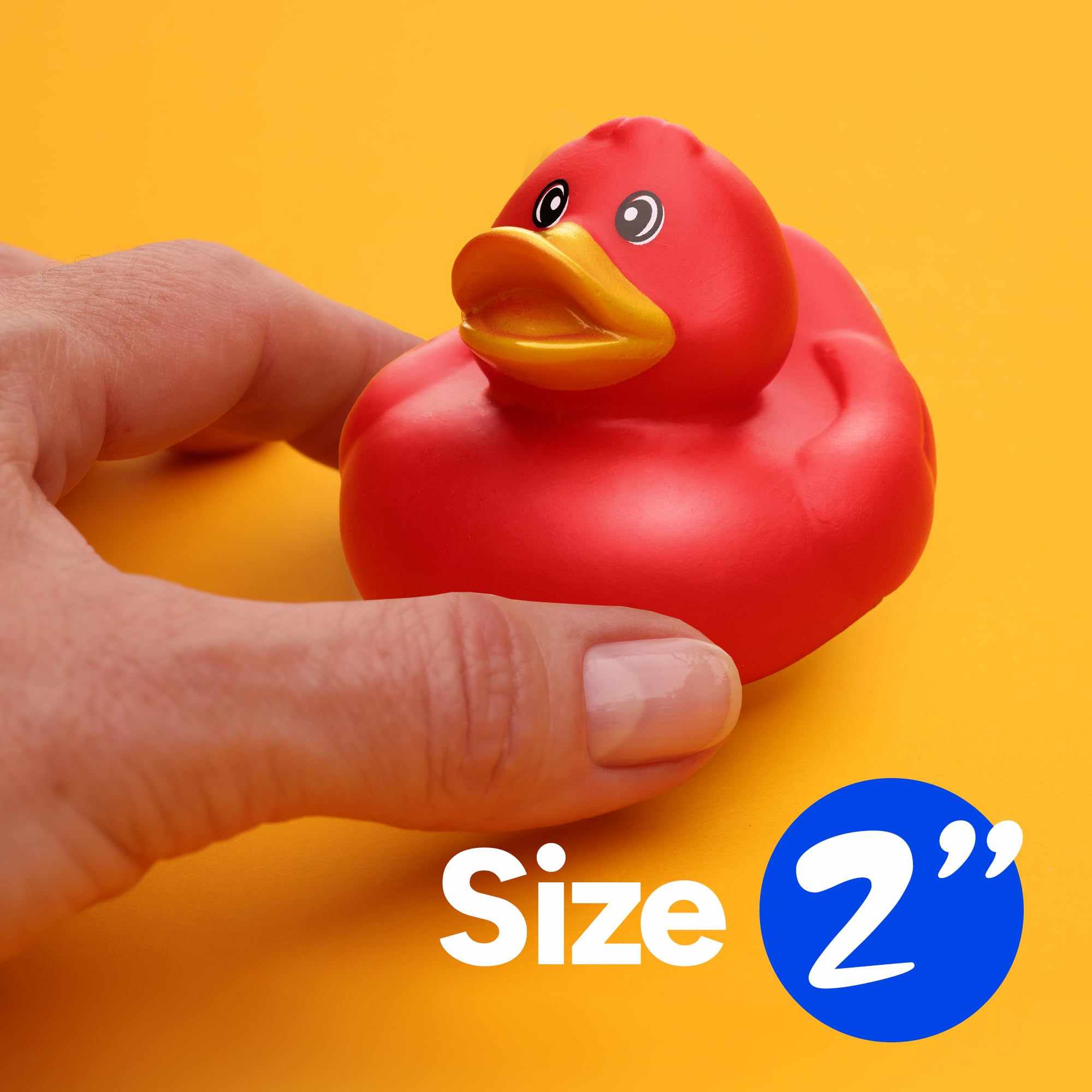 10-Pack Rubber Duck Assortment for Bath, Pool, Jeep Ducking, Party Favors, and Easter Gifts by Entervending
