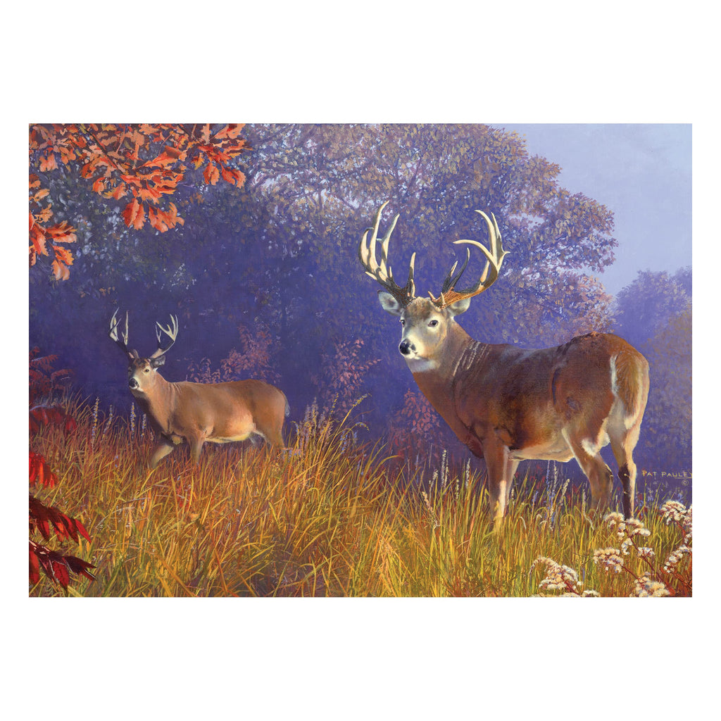 1000-Piece Deer Jigsaw Puzzle in Tin – Rivers Edge Products Wildlife Scene 28x20 Inches