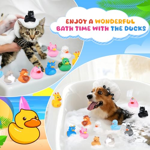 12 Assorted Mini Rubber Ducks – No-Hole Bath Toys with Animal Designs (Highland Cow, Black Cat, Sheep) by Prewplam