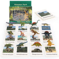12 Dinosaur Figurines with Matching Cards – Montessori Learning Toy Set for Kids Age 3 and Up