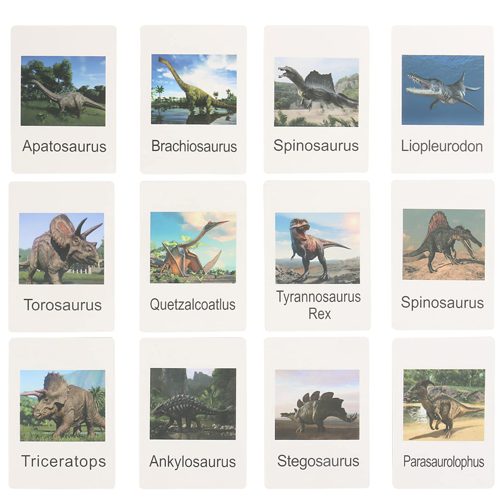 12 Dinosaur Figurines with Matching Cards – Montessori Learning Toy Set for Kids Age 3 and Up
