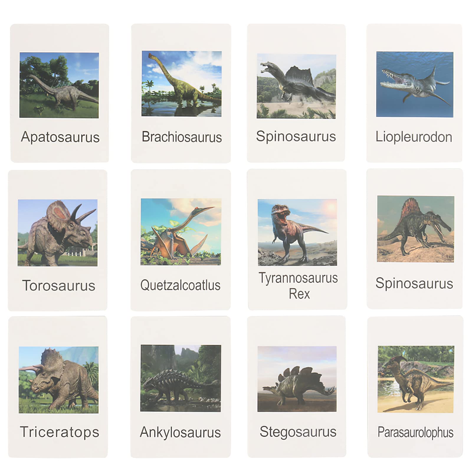 12 Dinosaur Figurines with Matching Cards – Montessori Learning Toy Set for Kids Age 3 and Up