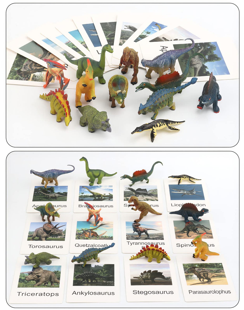12 Dinosaur Figurines with Matching Cards – Montessori Learning Toy Set for Kids Age 3 and Up