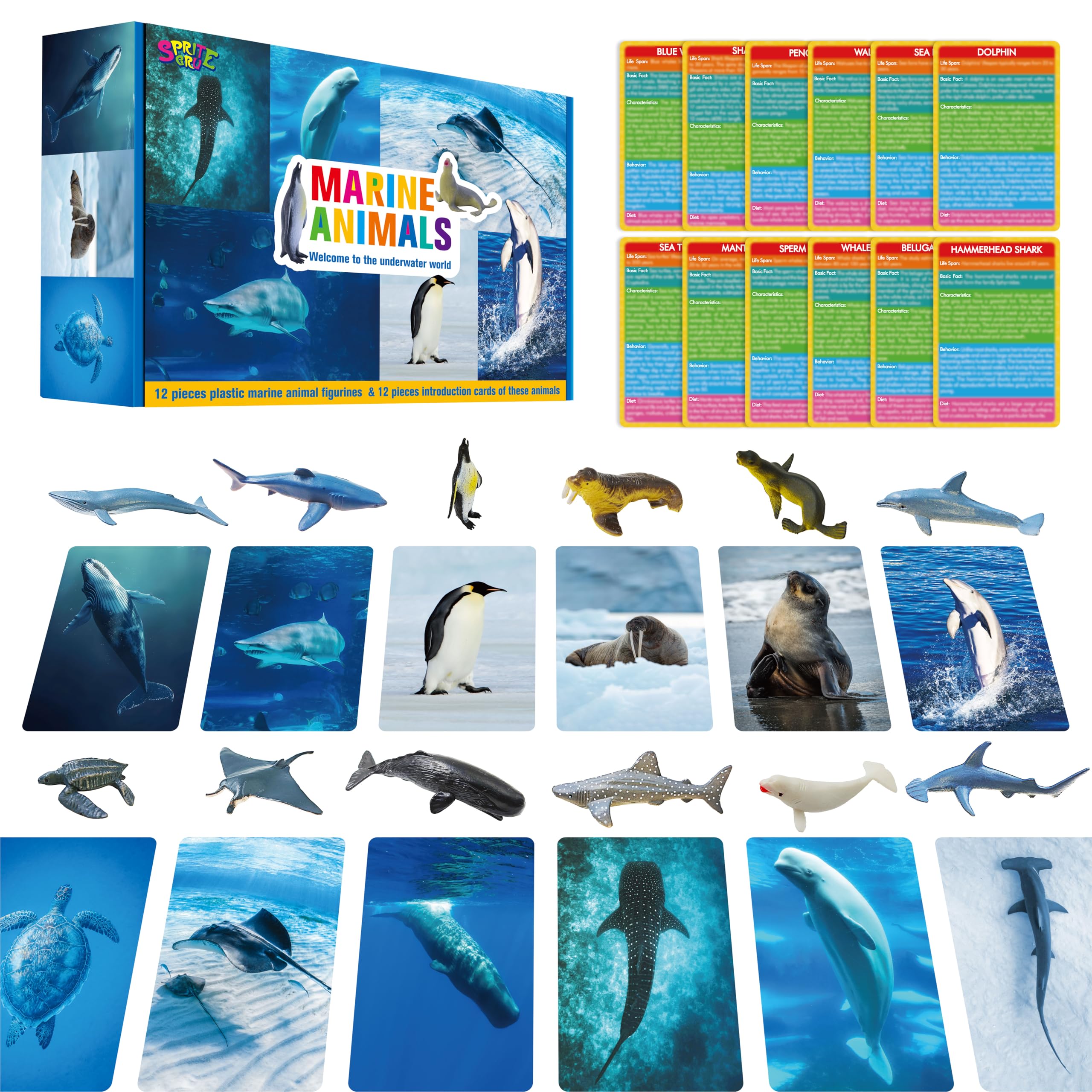 12 Realistic Plastic Marine Animal Figurines with 12 Double-Sided Learning Cards - Educational Toy Set by SpriteGru