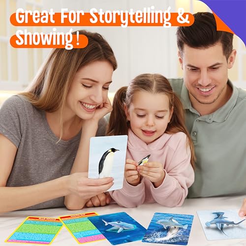 12 Realistic Plastic Marine Animal Figurines with 12 Double-Sided Learning Cards - Educational Toy Set by SpriteGru