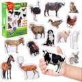 16 Realistic Farm Animal Fridge Magnets by Magdum – Educational Magnetic Set for Toddlers Age 3+
