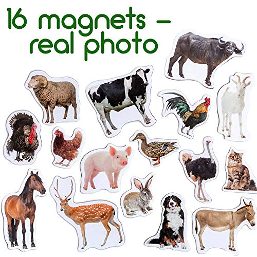 16 Realistic Farm Animal Fridge Magnets by Magdum – Educational Magnetic Set for Toddlers Age 3+