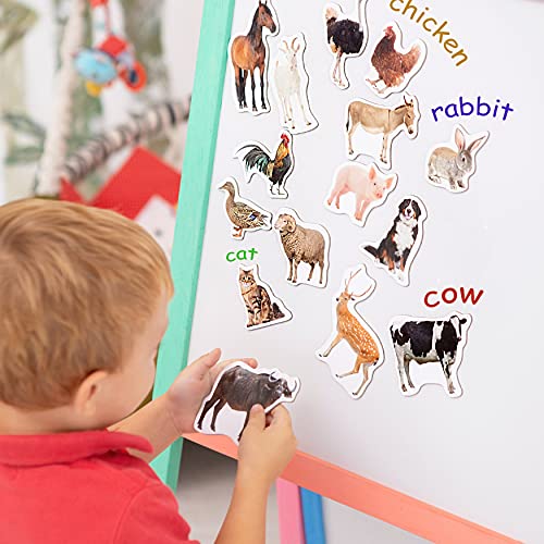16 Realistic Farm Animal Fridge Magnets by Magdum – Educational Magnetic Set for Toddlers Age 3+