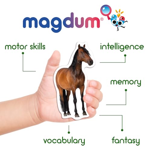 16 Realistic Farm Animal Fridge Magnets by Magdum – Educational Magnetic Set for Toddlers Age 3+