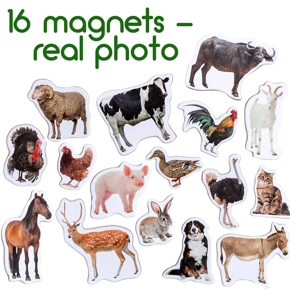 16 Realistic Farm Animal Fridge Magnets by Magdum – Educational Magnetic Set for Toddlers Age 3+