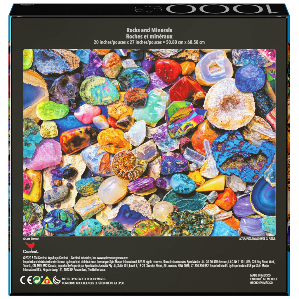 2-Pack 1000-Piece Jigsaw Puzzles: Succulents & Rocks and Minerals – Amazon Exclusive for Adults & Kids 8+