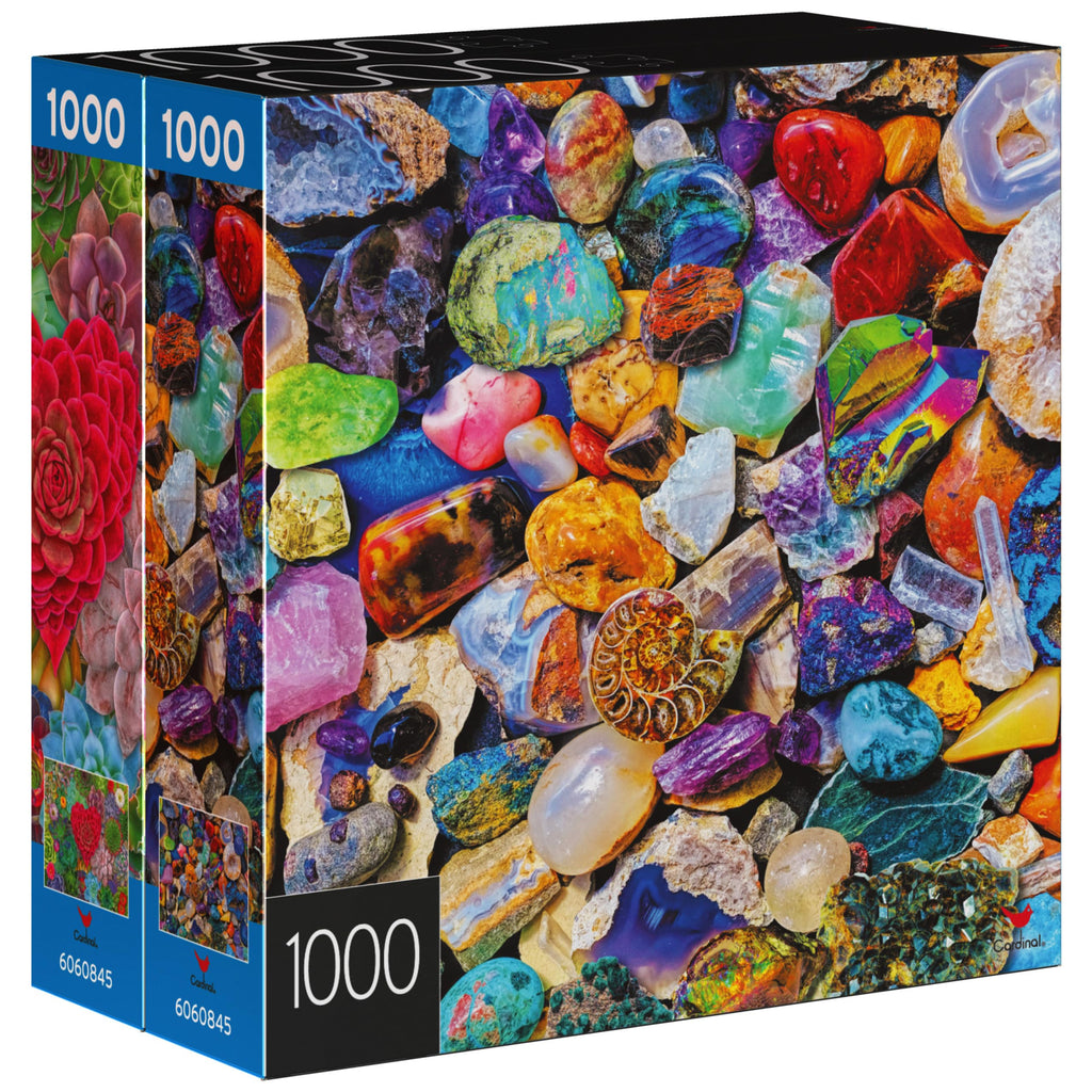 2-Pack 1000-Piece Jigsaw Puzzles: Succulents & Rocks and Minerals – Amazon Exclusive for Adults & Kids 8+