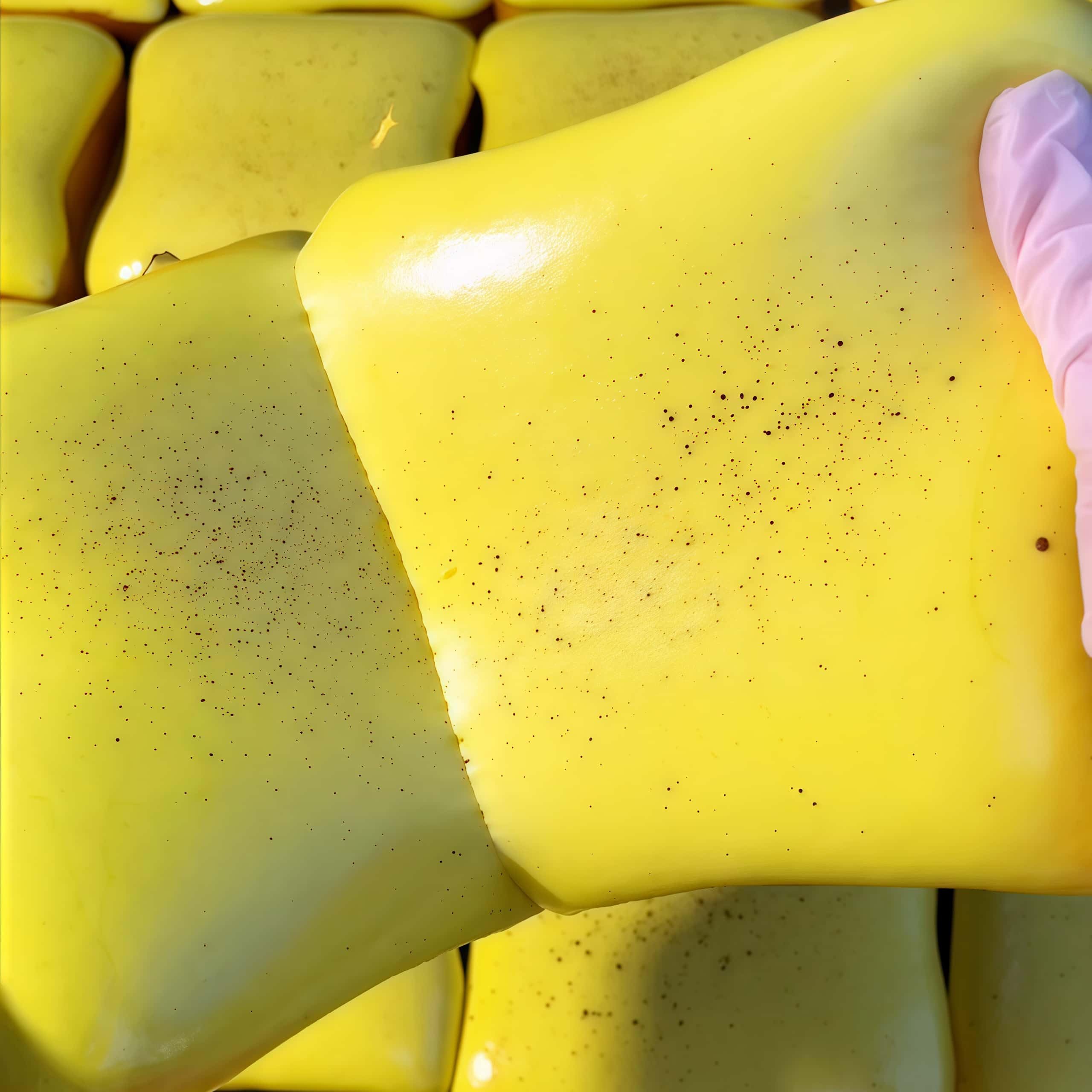 2 Pack Sticky Bread Slow Rising Squishy | 4.3in Toast Squeeze Toy for Adults | Stress Relief & Focus | Milk
