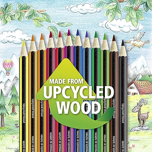 24 STAEDTLER Colored Pencils – Break-Resistant, Sustainable, Vibrant Art Supplies