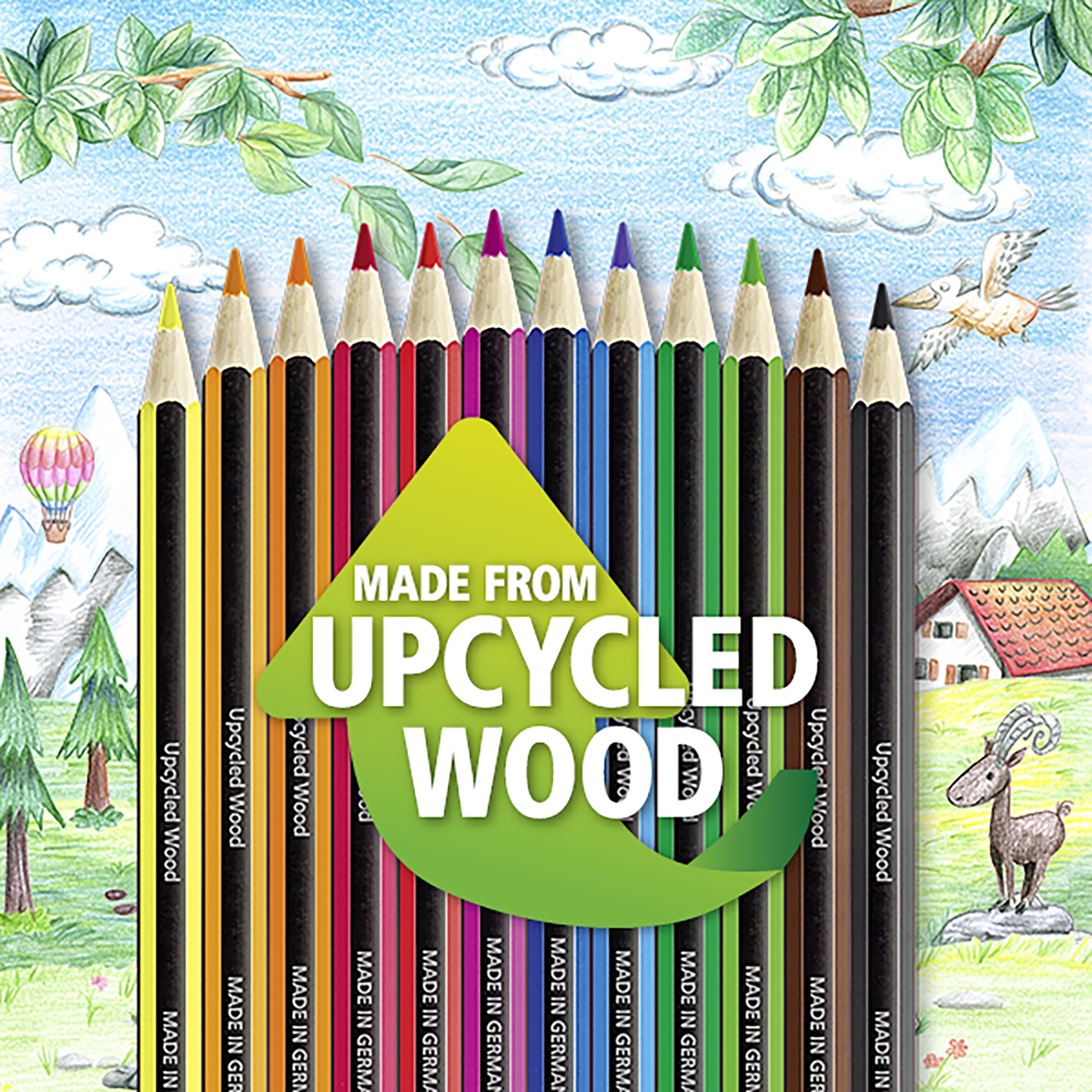 24 STAEDTLER Colored Pencils – Break-Resistant, Sustainable, Vibrant Art Supplies