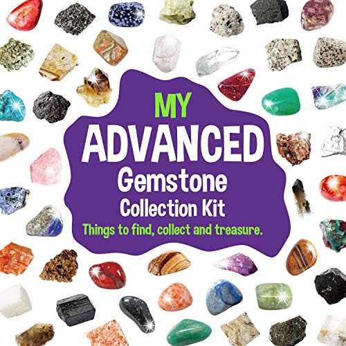 48-Piece Rock and Mineral Collection for Kids – Geology Gem Kit with Tiger’s Eye, Rose Quartz, and Identification Guide