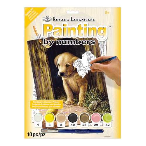 Royal Langnickel Junior Paint By Number Kit: Labrador Puppy - Easy Acrylic Painting Set for Kids 8+