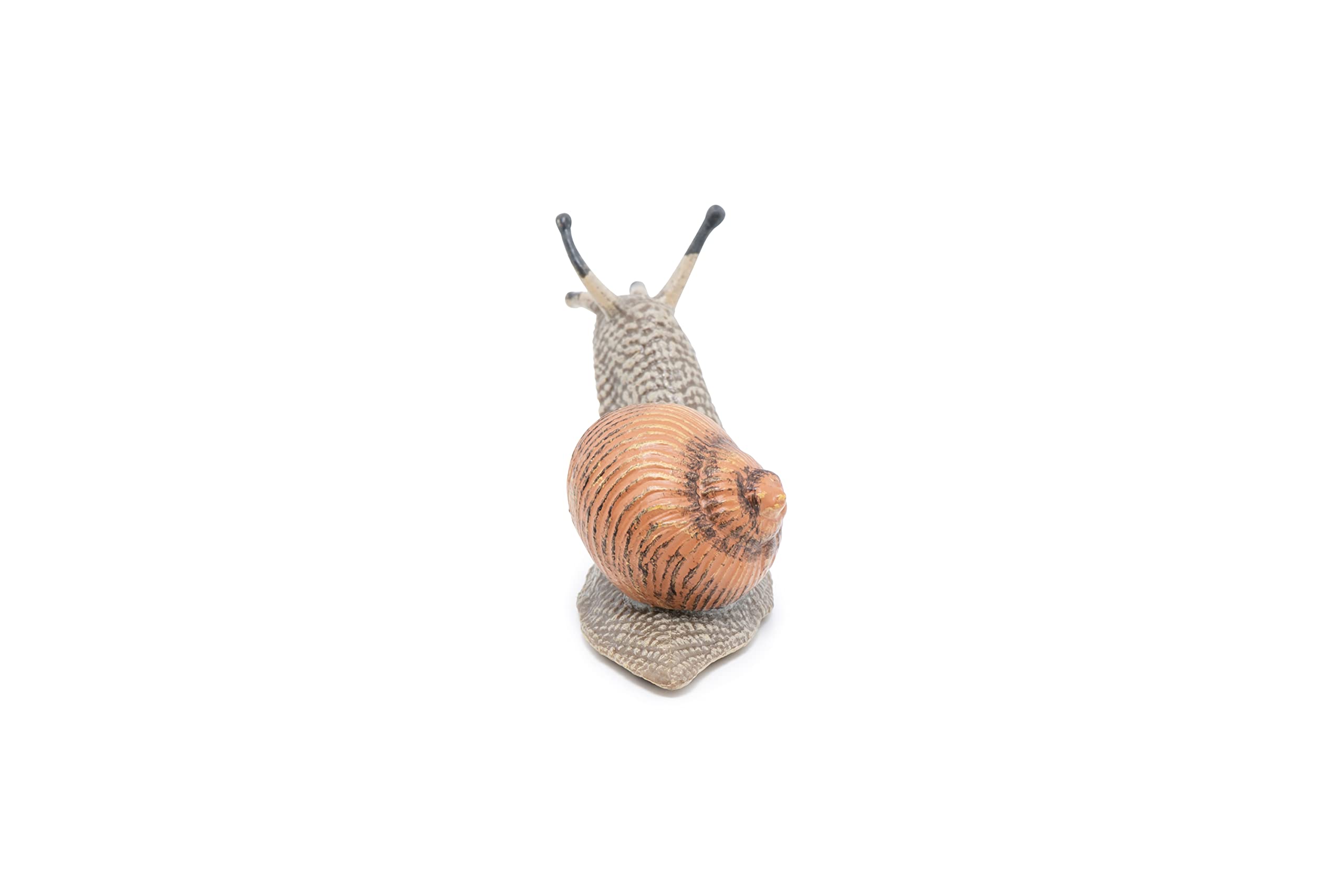 Papo Garden Snail Figure – Hand-Painted Realistic Miniature Animal Toy for Kids 3+