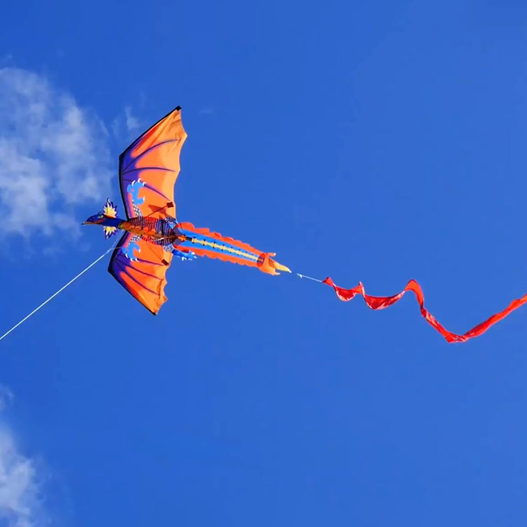 63 Inch HENGDA KITE Upgrade Dragon Kite – Easy to Fly Single Line for Beginners