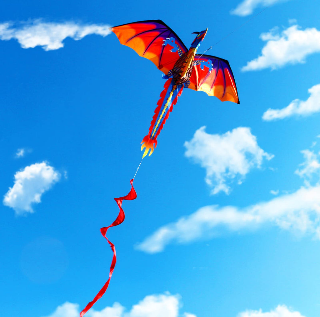 63 Inch HENGDA KITE Upgrade Dragon Kite – Easy to Fly Single Line for Beginners