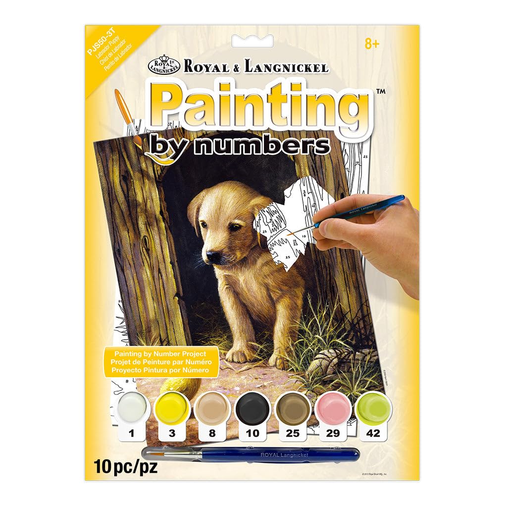 Royal Langnickel Junior Paint By Number Kit: Labrador Puppy - Easy Acrylic Painting Set for Kids 8+