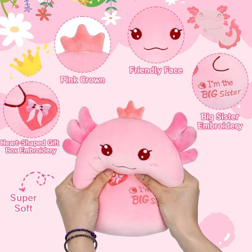 8-Inch Axolotl Plush Big Sister Gift with Pink Crown and 'I'm the Big Sister' Message