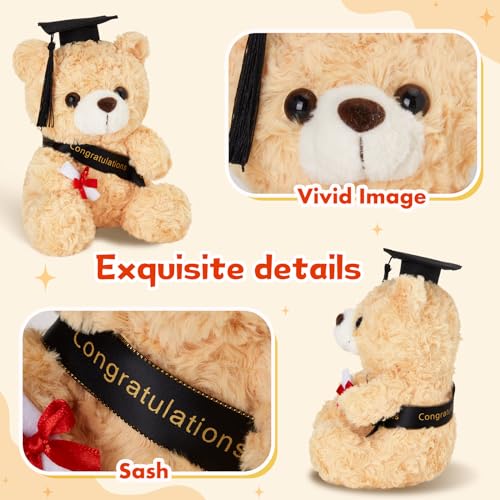 9-Inch Graduation Teddy Bear with Cap and Diploma – Soft Plush, Machine Washable, Class of 2026 Gift