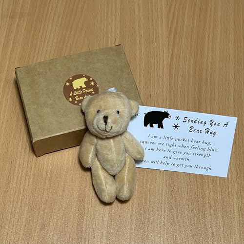 A Little Pocket Bear Hug - Mini Bronze Plush with Hug Token Card, Emotional Support Gift for Graduation Birthday