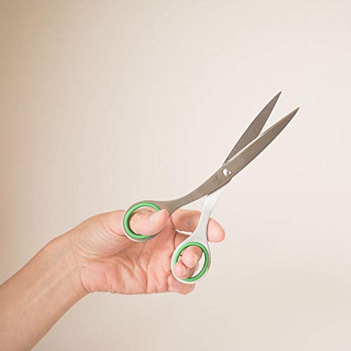 ALLEX Left Handed Office Scissors 6.5" – Green – Japanese Stainless Steel – Made in Japan