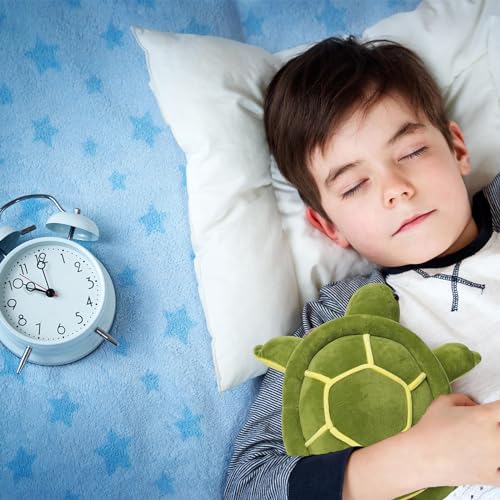 AMLHNA Cute Sea Turtle Plush Toy, 9.8 Inch Soft Stuffed Animal - Perfect Gift for Kids and Baby Showers