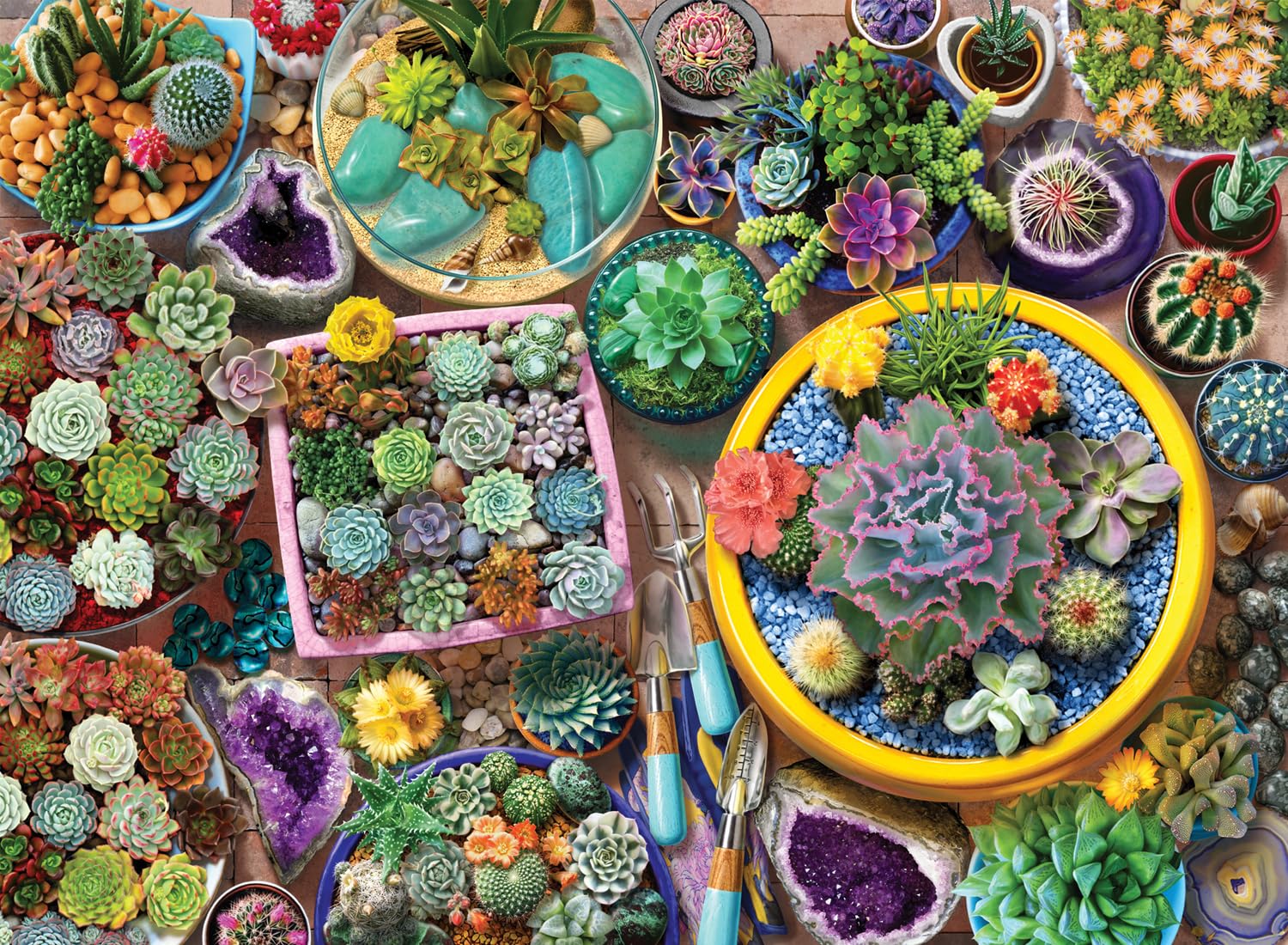 Anatolian Cacti Pots 1000-Piece Jigsaw Puzzle – Glare-Free, Made in Türkiye