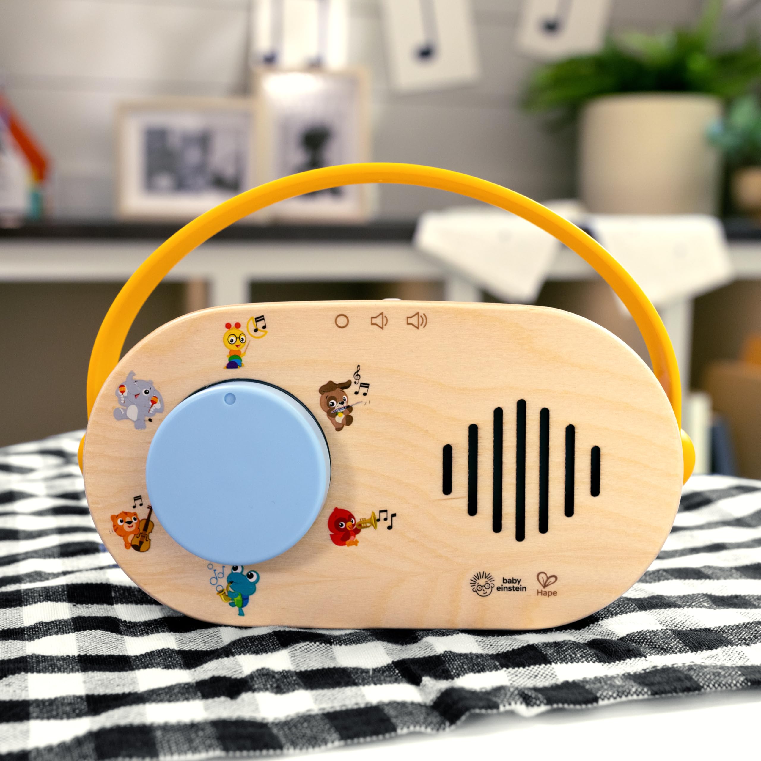 Baby Einstein + Hape Discovery Radio Toy: Musical Wooden Toy with Lights & Sounds for Ages 6 Months+