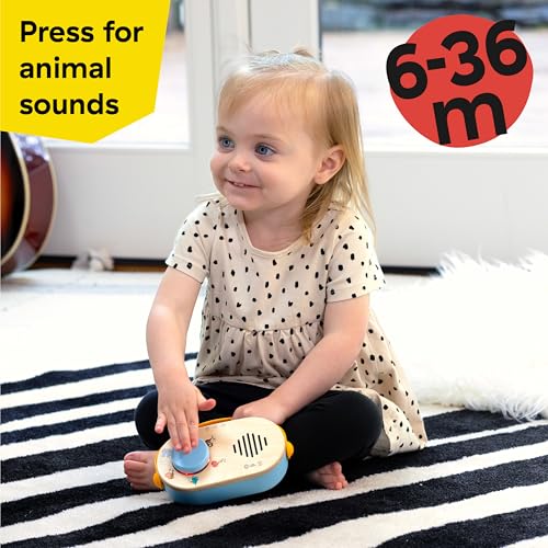 Baby Einstein + Hape Discovery Radio Toy: Musical Wooden Toy with Lights & Sounds for Ages 6 Months+