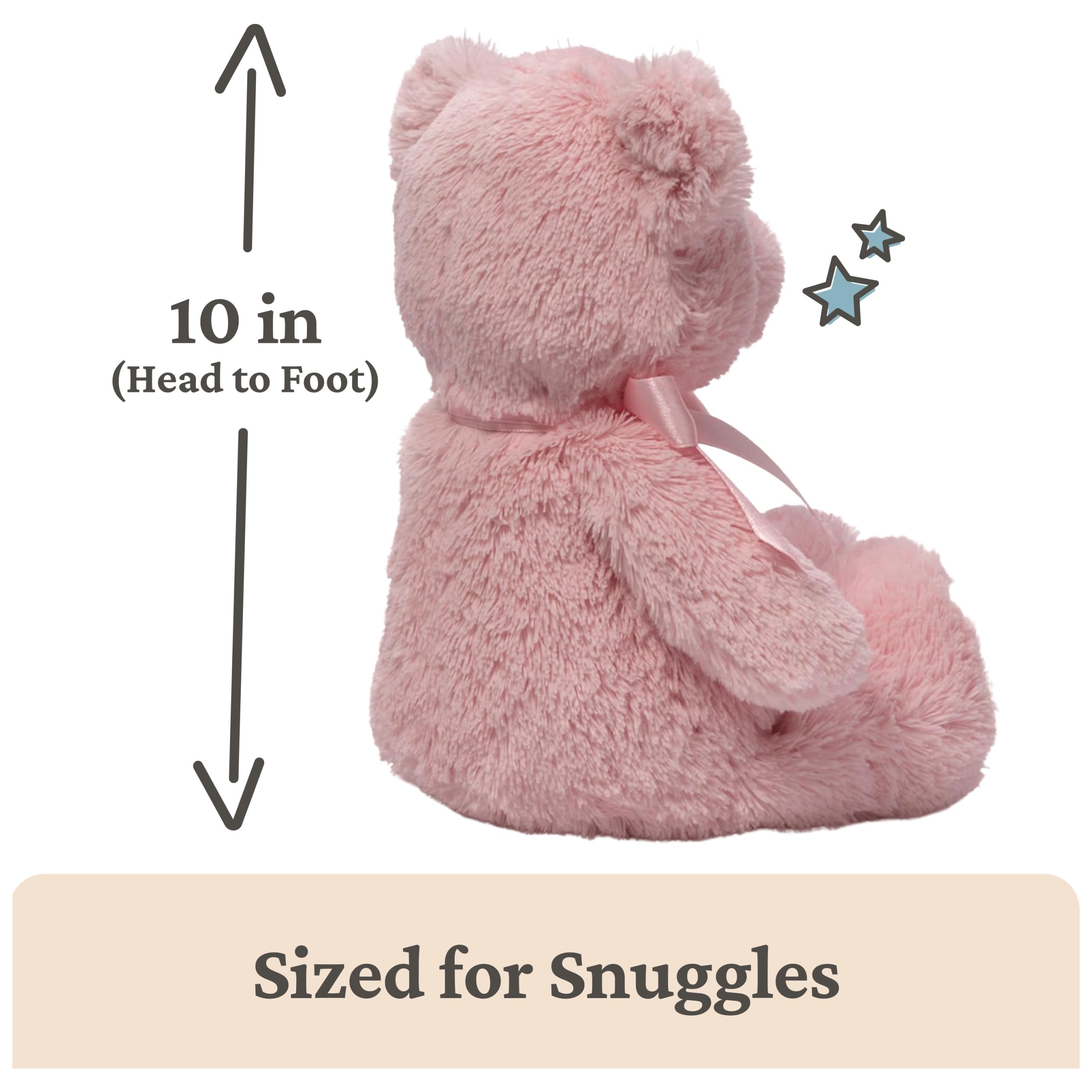 Baby GUND My First Teddy Bear - Ultra Soft Plush for Newborns, Pink, 10 Inches