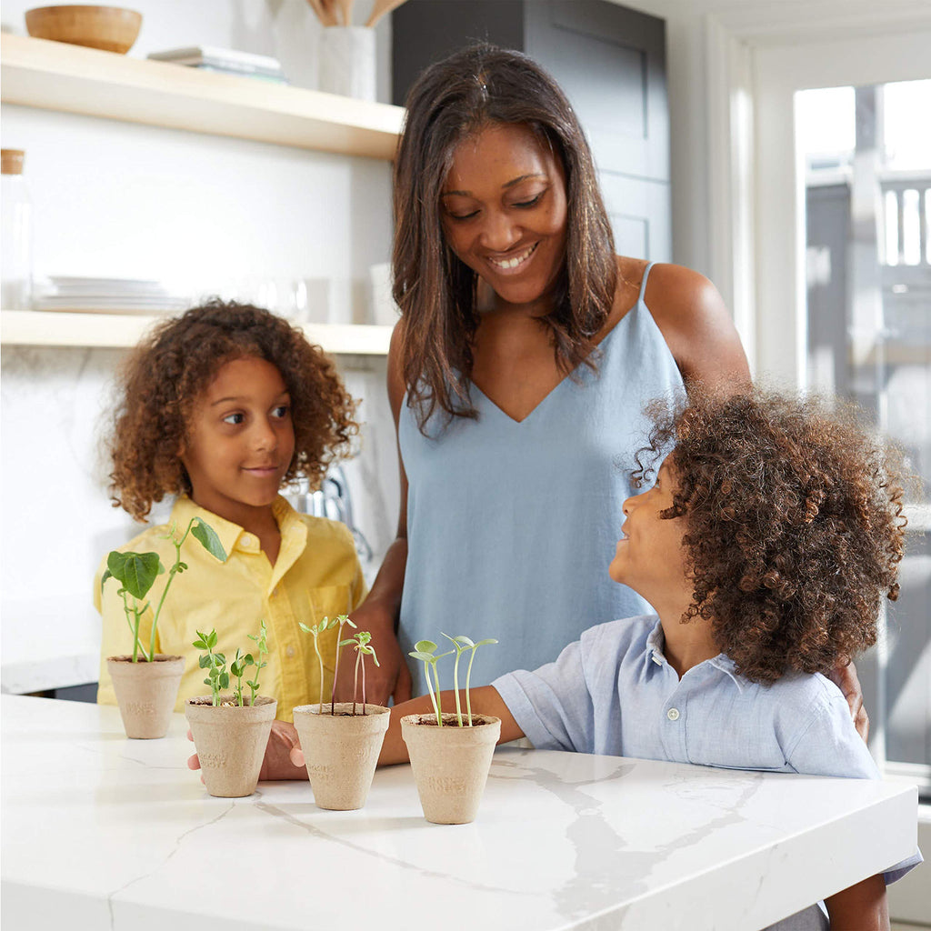 Back to the Roots Kids Science Grow Kit: Organic Bean & Watermelon Gardening Set (2-Pack)