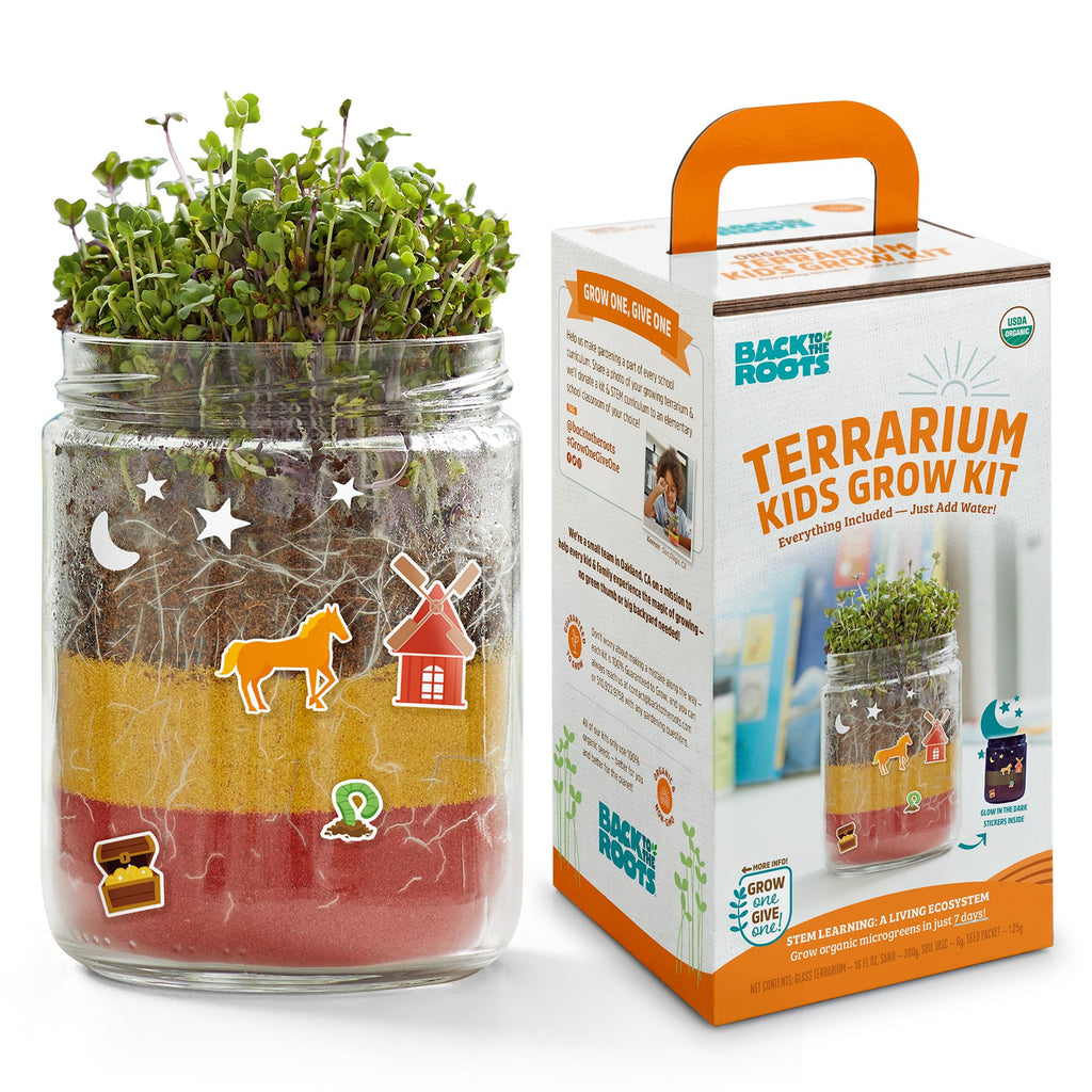 Back to the Roots Terrarium Grow Kit – DIY Organic Mini Garden for All Ages