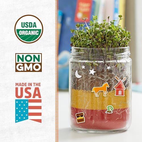 Back to the Roots Terrarium Grow Kit – DIY Organic Mini Garden for All Ages
