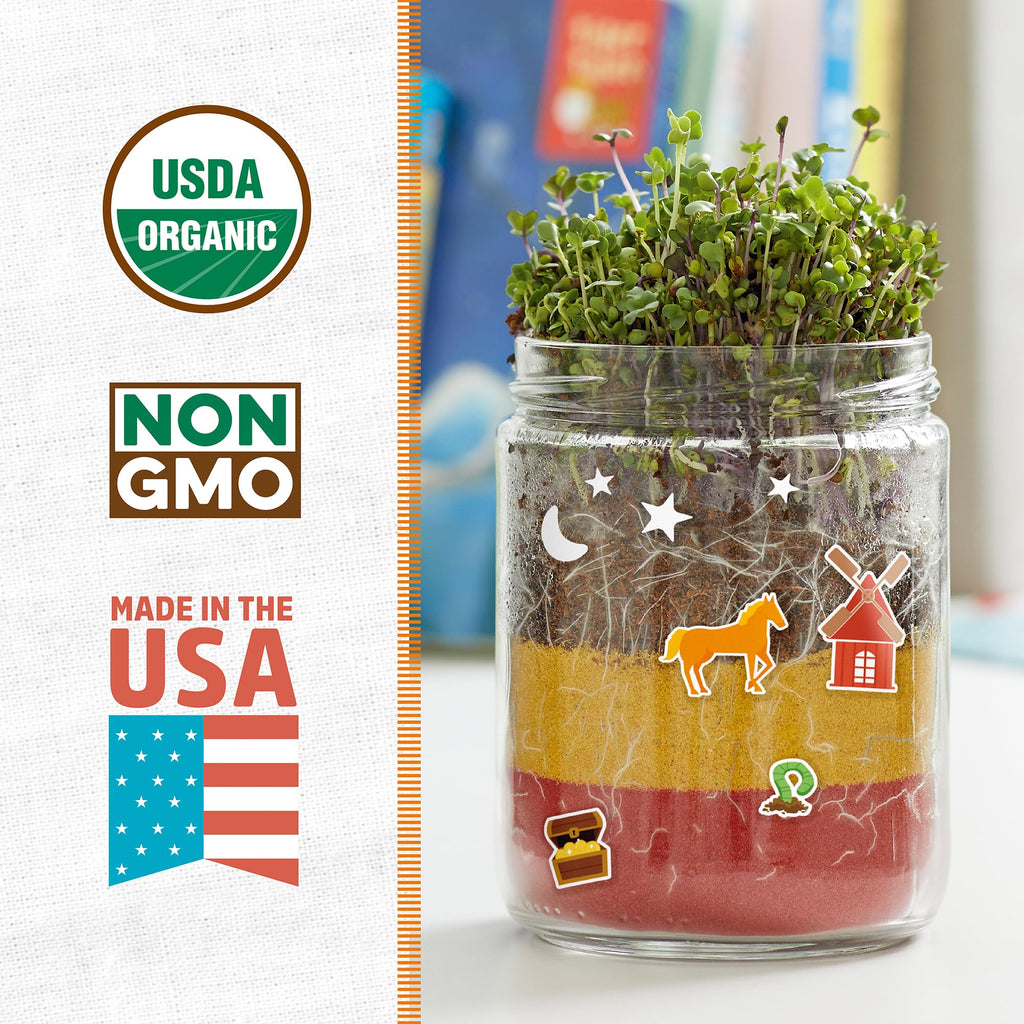 Back to the Roots Terrarium Grow Kit – DIY Organic Mini Garden for All Ages