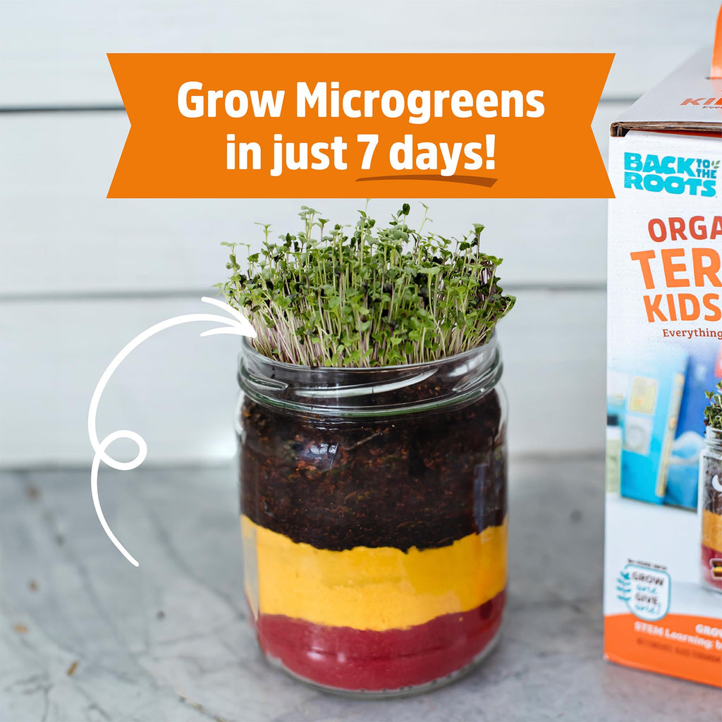 Back to the Roots Terrarium Grow Kit – DIY Organic Mini Garden for All Ages