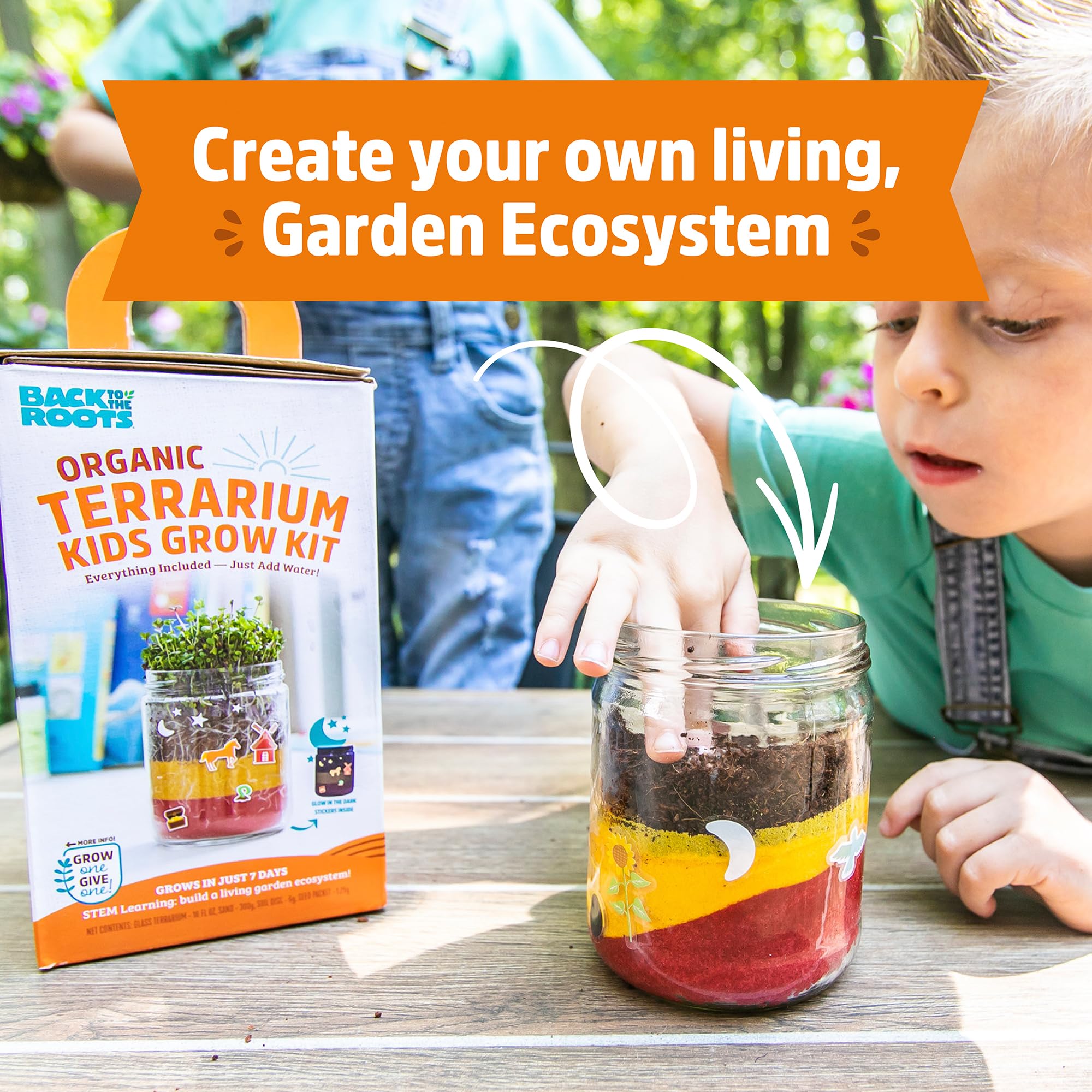 Back to the Roots Terrarium Grow Kit – DIY Organic Mini Garden for All Ages