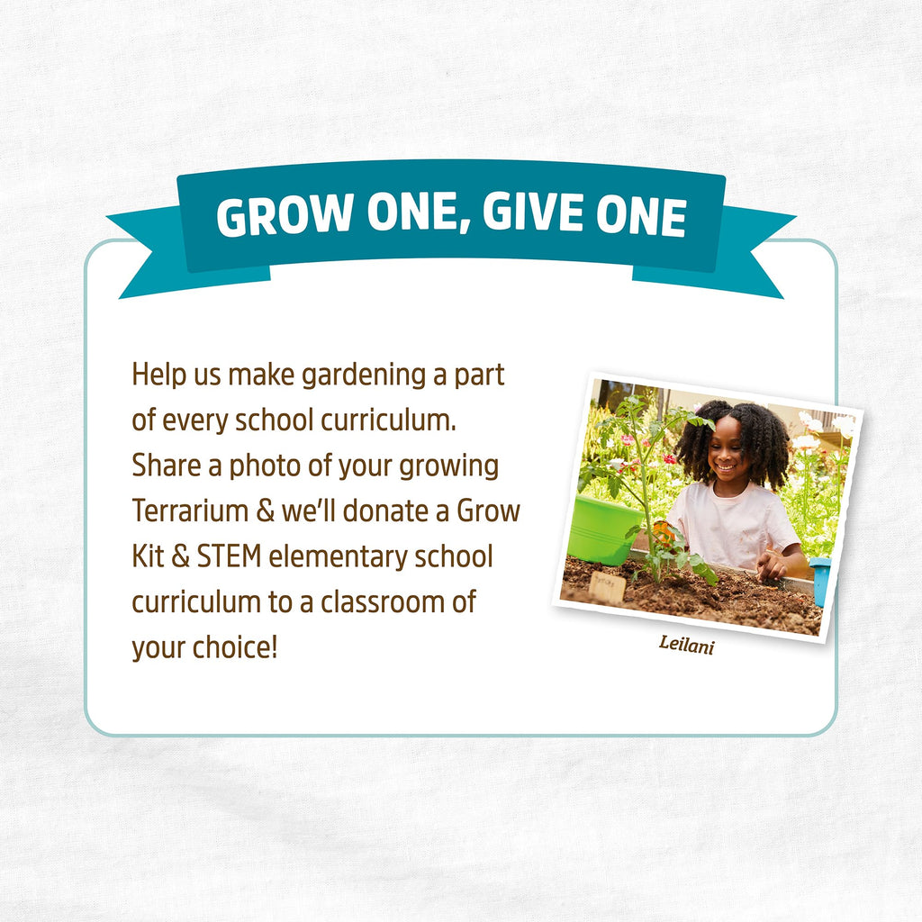 Back to the Roots Terrarium Grow Kit – DIY Organic Mini Garden for All Ages
