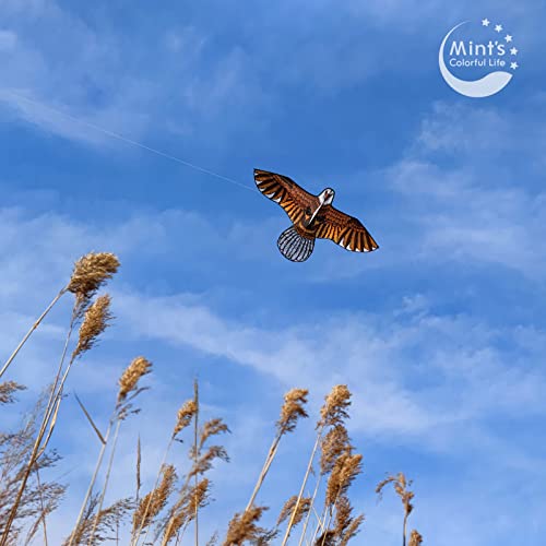 Bald Eagle Kite with 60-Inch Wingspan – Easy to Fly for Adults and Kids, Single Line Nylon Kite for Beach and Park