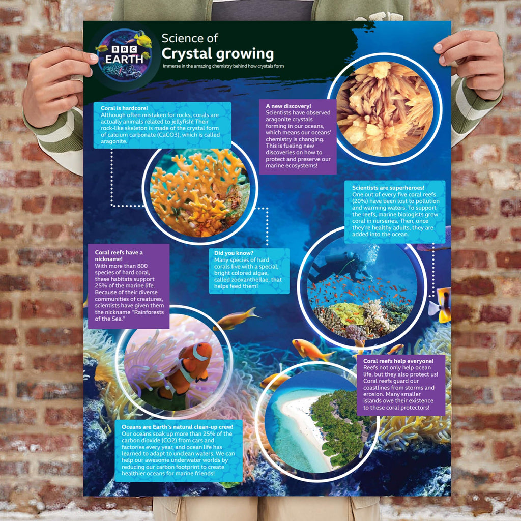 BBC Earth Crystal Aquarium: Colorful Crystal Growing Kit for Kids Ages 6+