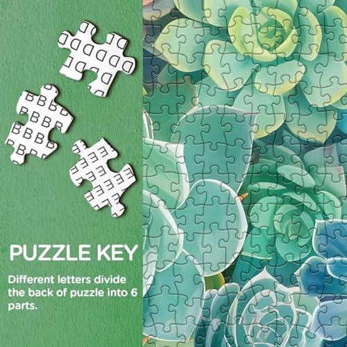 BBOLDIN 1000 Piece Rainbow Succulent Cactus Puzzle for Adults – 23.9x23.9 Inch Colorful Gradient Jigsaw with Letters on Back