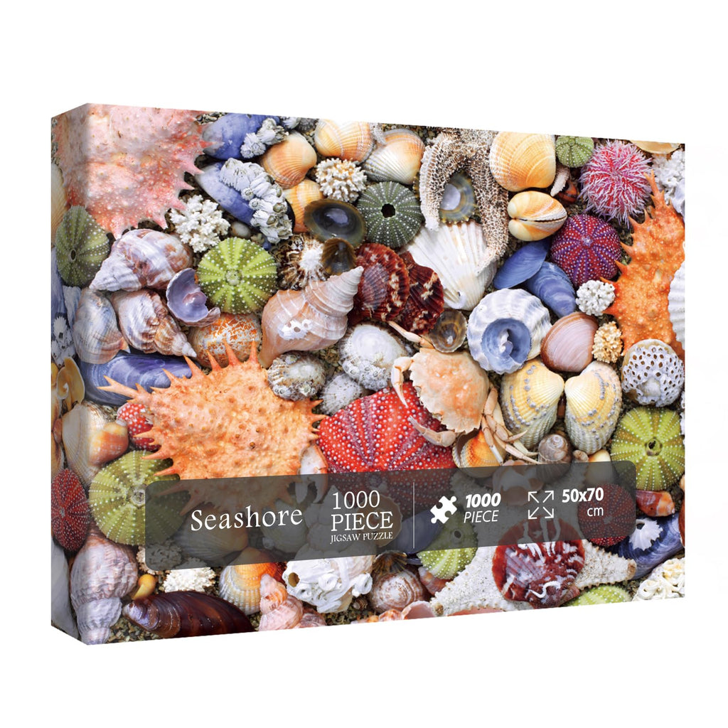 BBOLDIN Colorful Seashell 1000 Piece Puzzle – Ocean Beach Jigsaw for Adults, Marine Hawaii Theme