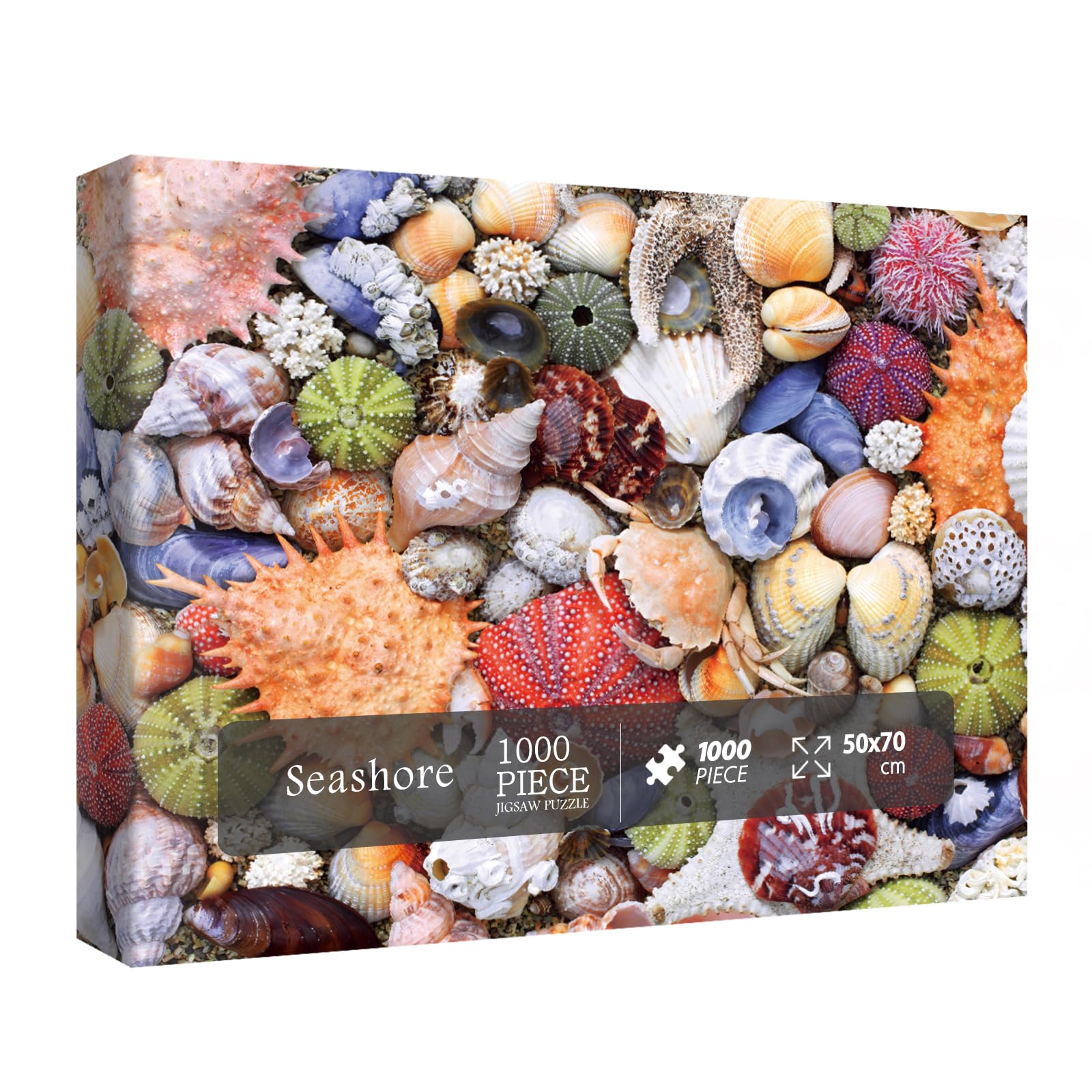 BBOLDIN Colorful Seashell 1000 Piece Puzzle – Ocean Beach Jigsaw for Adults, Marine Hawaii Theme