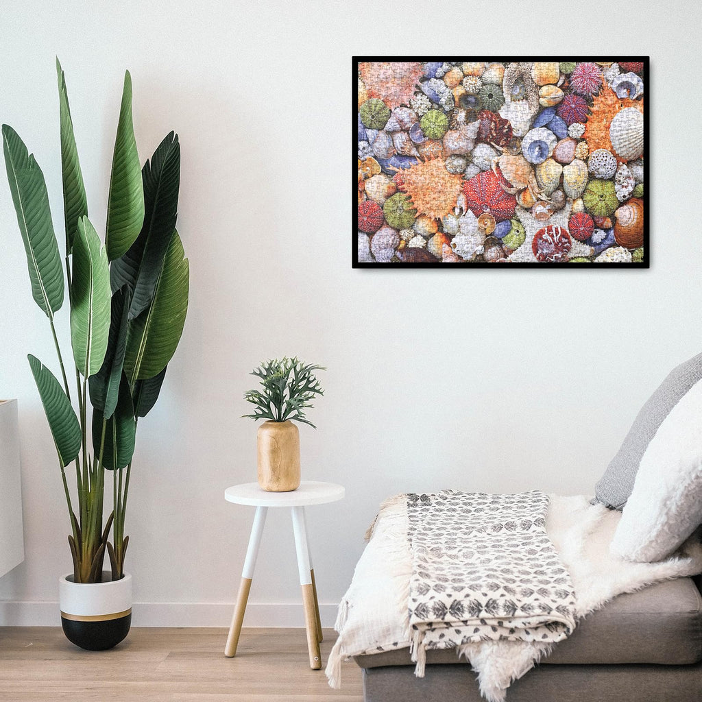 BBOLDIN Colorful Seashell 1000 Piece Puzzle – Ocean Beach Jigsaw for Adults, Marine Hawaii Theme